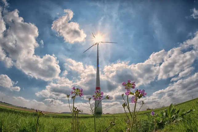 pinwheel-2222471_1920