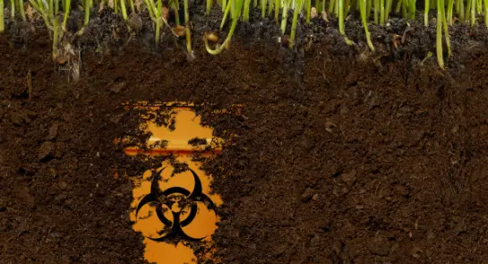 aktulanosci-przestepczosc-srodowiskowa