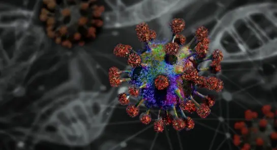 aktualnosci-koronawirus