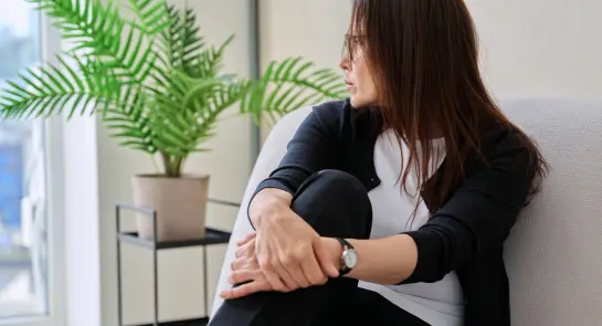 shutterstock_2699130473(1)