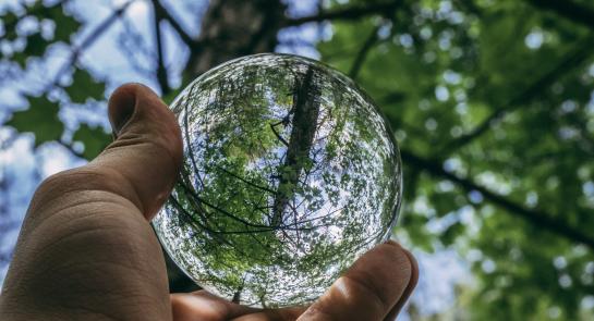 ball-shaped-close-up-daylight-1125298