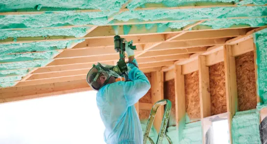 shutterstock_2232426081(1)