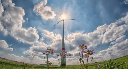 pinwheel-2222471_1920