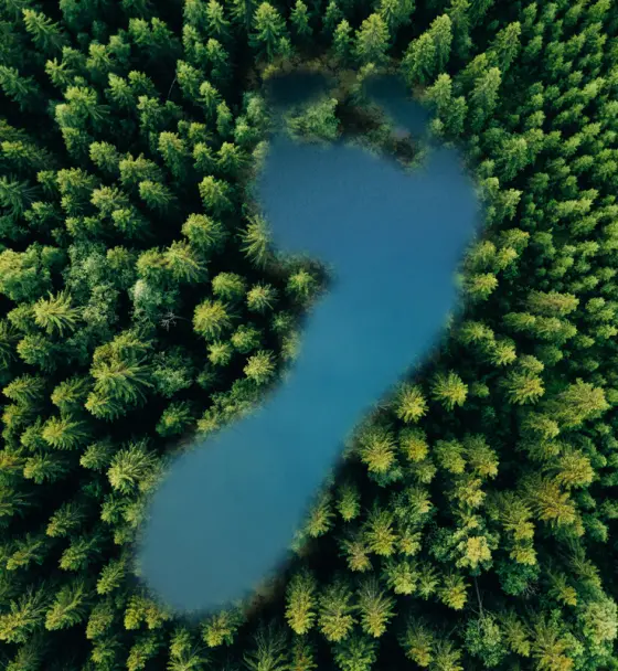 ślad węglowy pomocniczy_2