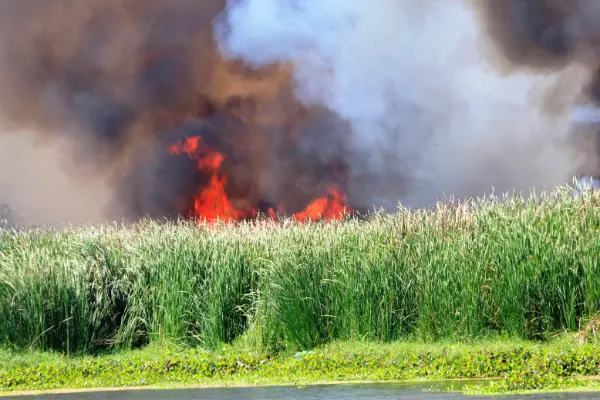 aktualnosci_ochrona_srodowiska