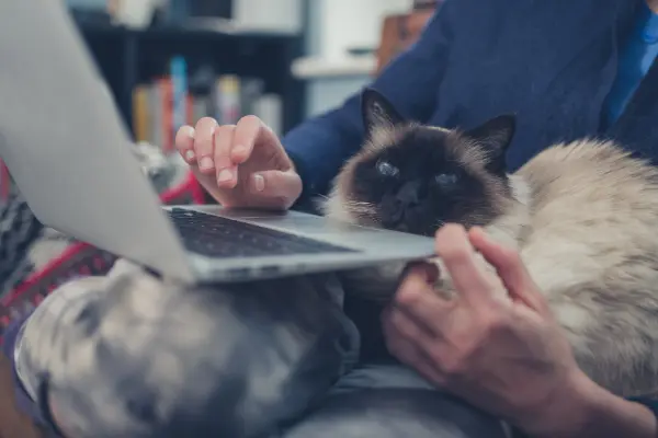 aktualnosci_home_office_bhp