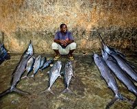 Światowe zasoby ryb są zagrożone