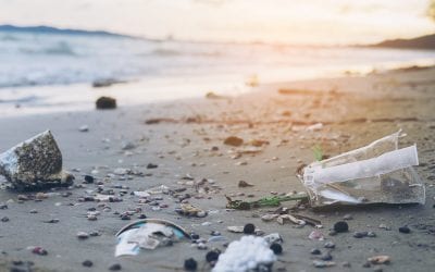 W 2021 r. wejdzie zakaz sprzedaży plastikowych jednorazówek
