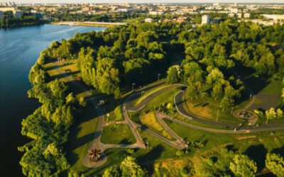 Duże miasta w Polsce znacznie się różnią od siebie pod względem usług ekosystemowych